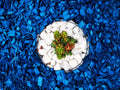 Mulch Azul · 60 litros