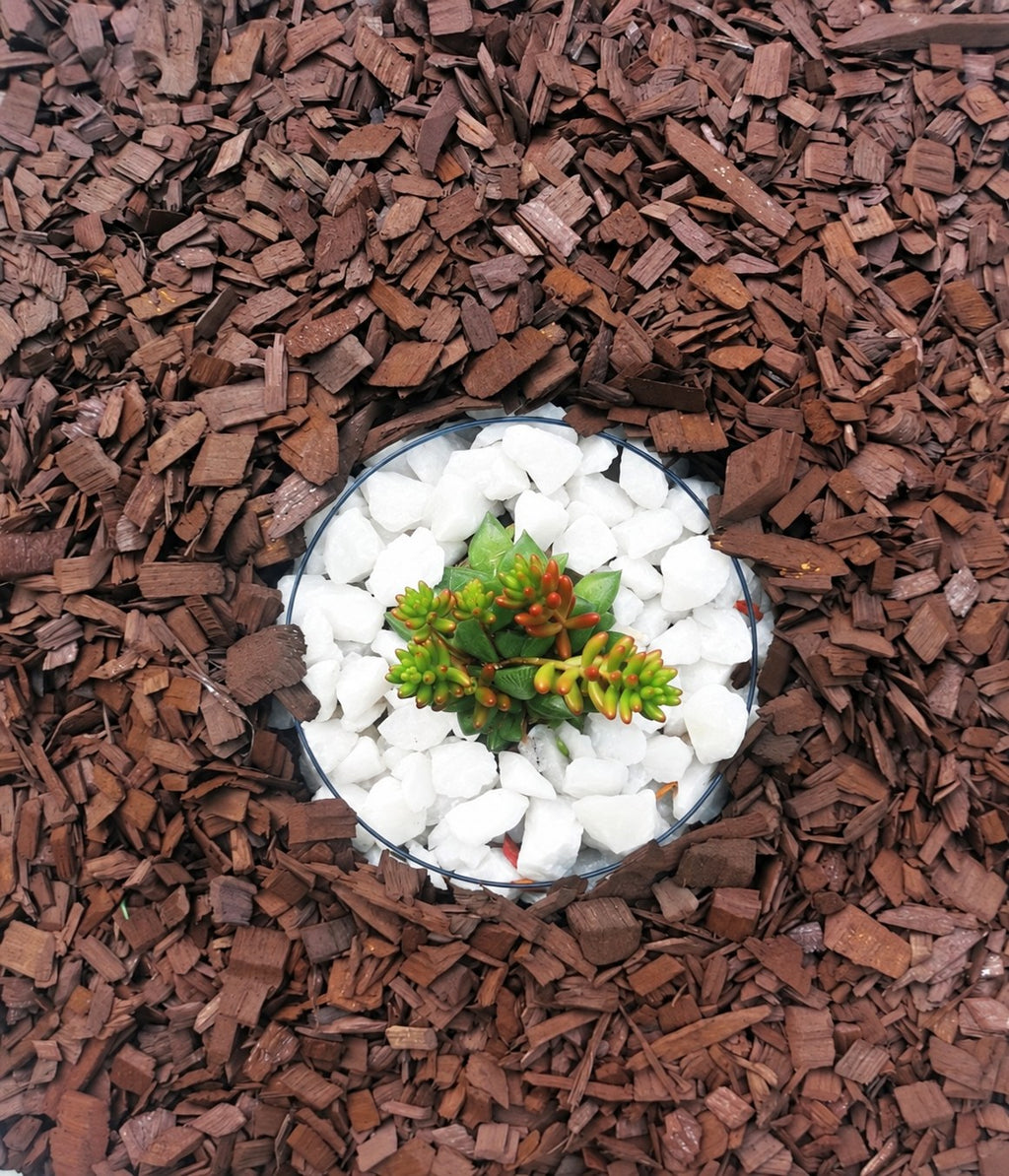 Mulch Café · 60 litros