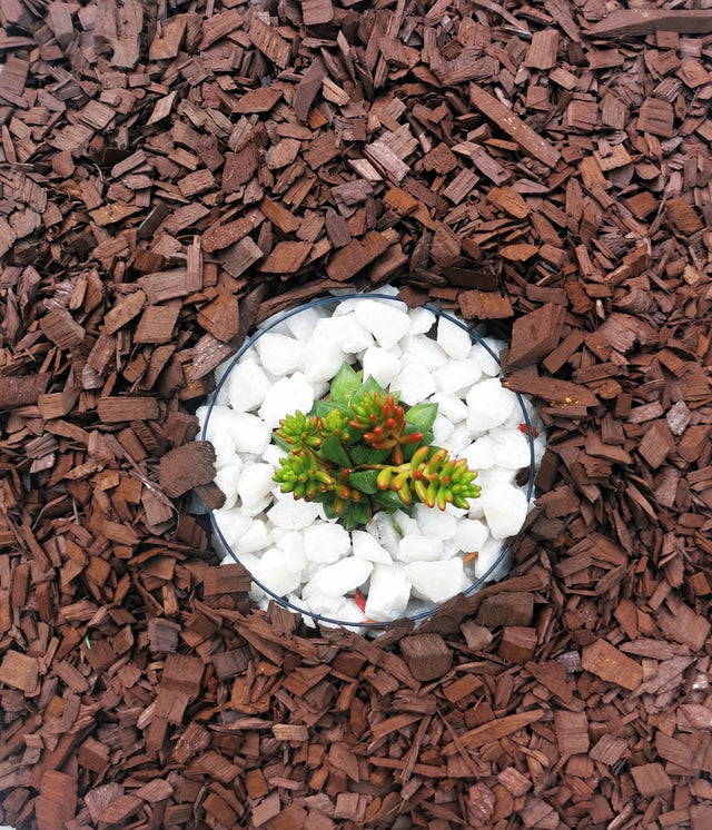 Mulch Café · 60 litros