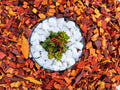 Mulch Otoño · 60 litros